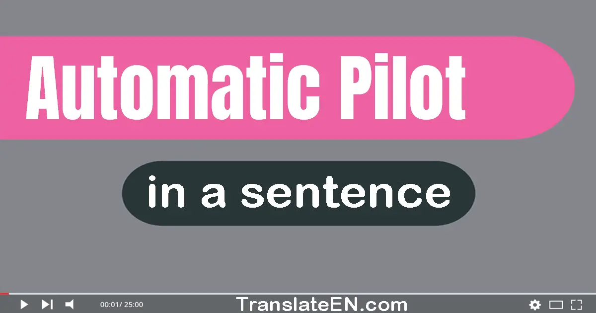 Use "automatic pilot" in a sentence | "automatic pilot" sentence examples