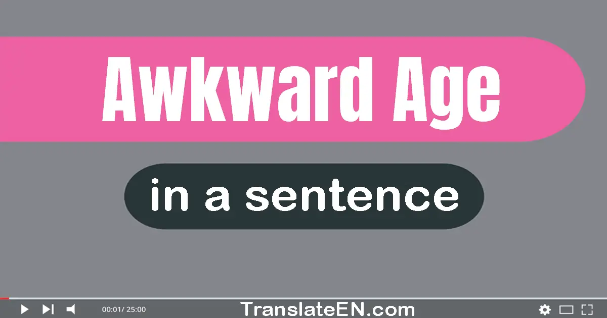 Use "awkward age" in a sentence | "awkward age" sentence examples