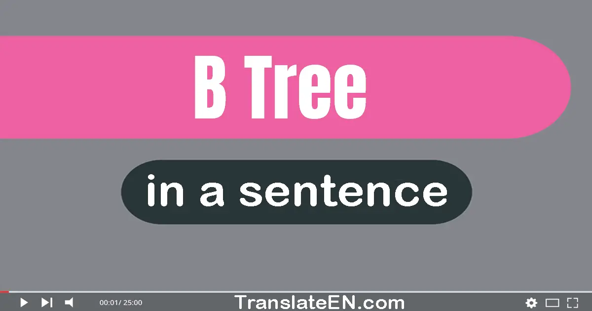 Use "B-tree" in a sentence | "B-tree" sentence examples