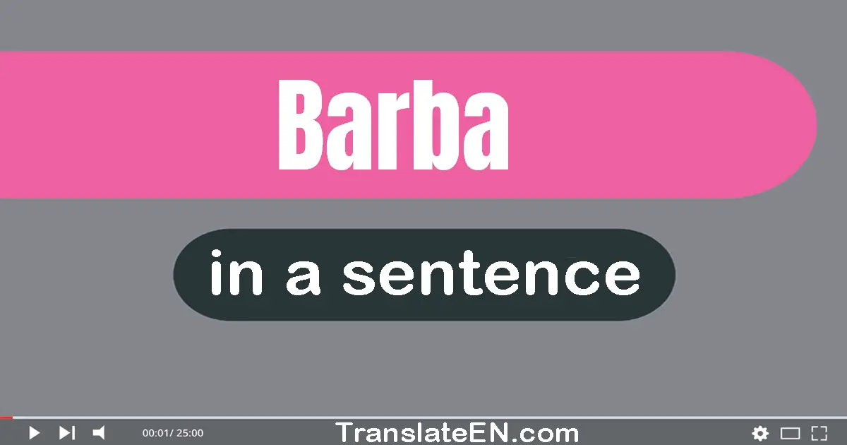 Use "barba" in a sentence | "barba" sentence examples
