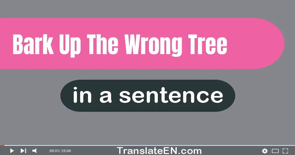 Use "bark up the wrong tree" in a sentence | "bark up the wrong tree" sentence examples
