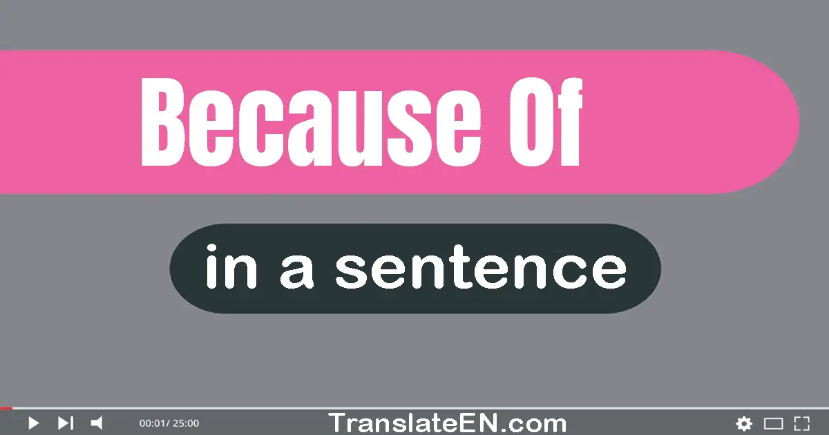 Use "because of" in a sentence | "because of" sentence examples