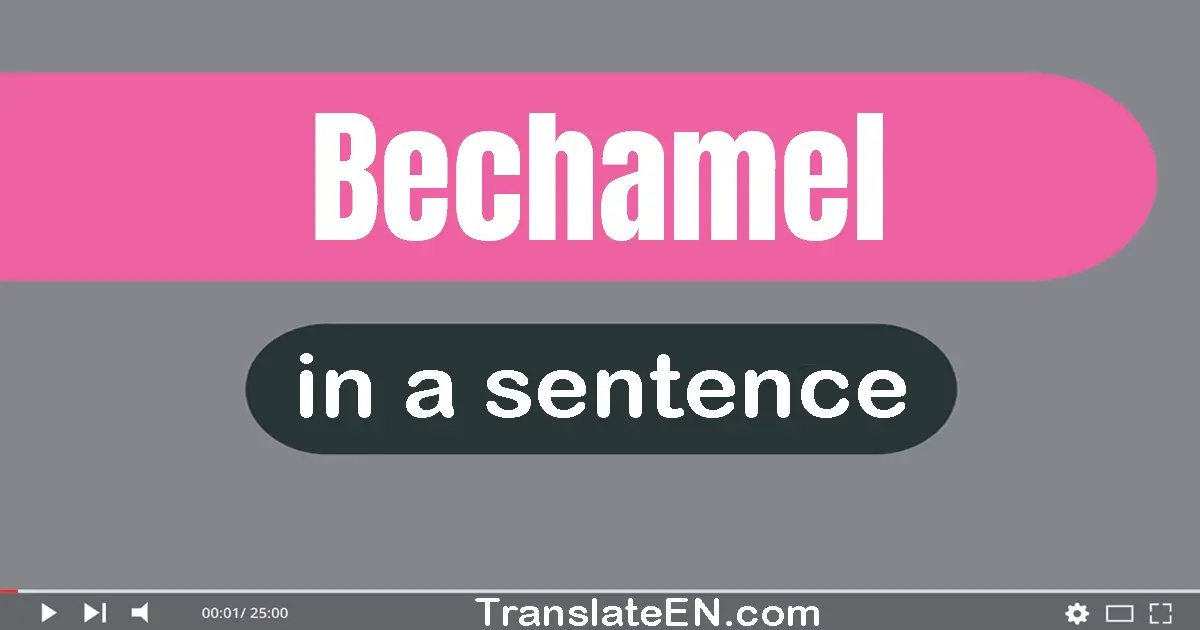 Use "bechamel" in a sentence | "bechamel" sentence examples