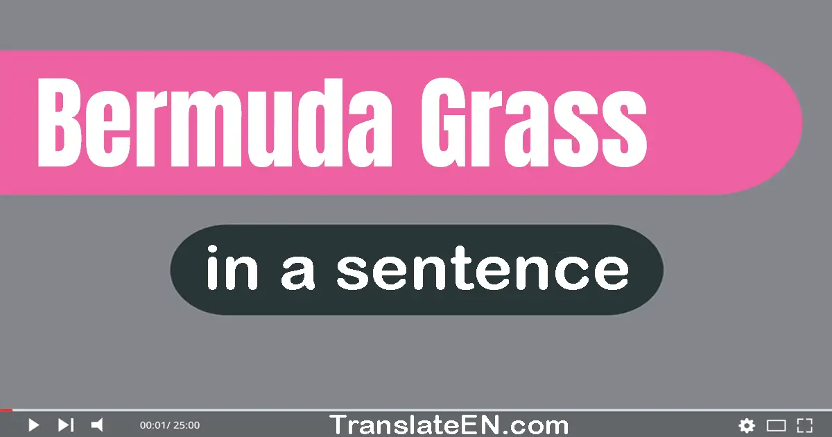 Use "bermuda grass" in a sentence | "bermuda grass" sentence examples