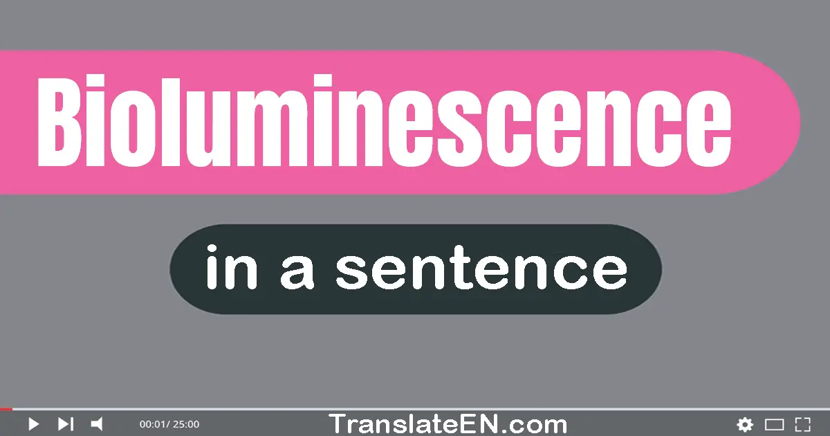 Use "bioluminescence" in a sentence | "bioluminescence" sentence examples