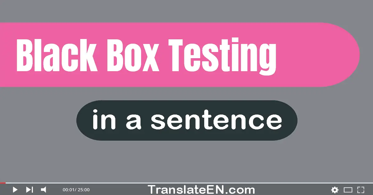 Use "black box testing" in a sentence | "black box testing" sentence examples