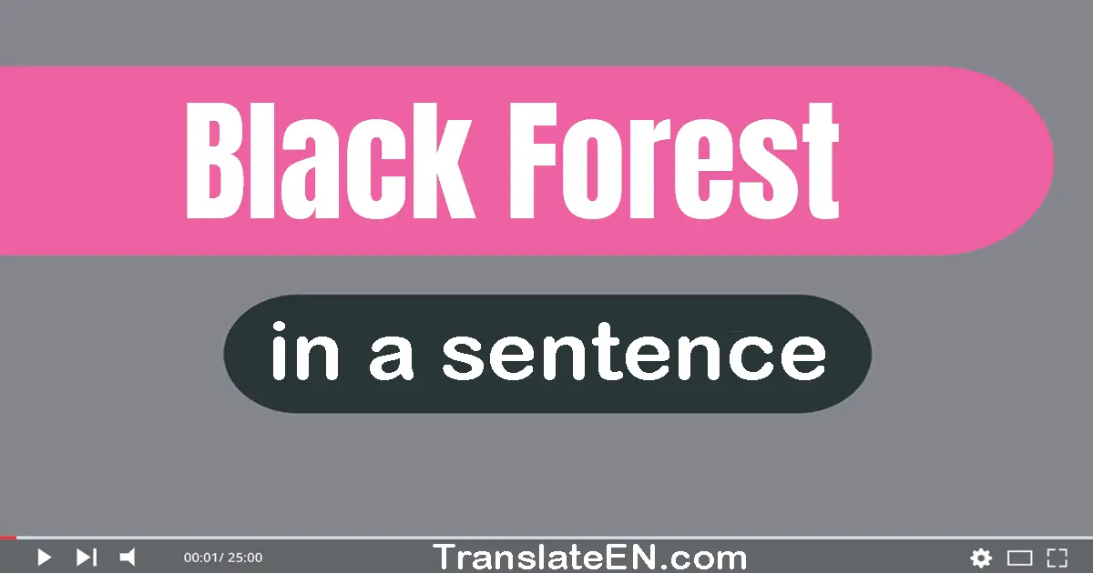 Use "black forest" in a sentence | "black forest" sentence examples
