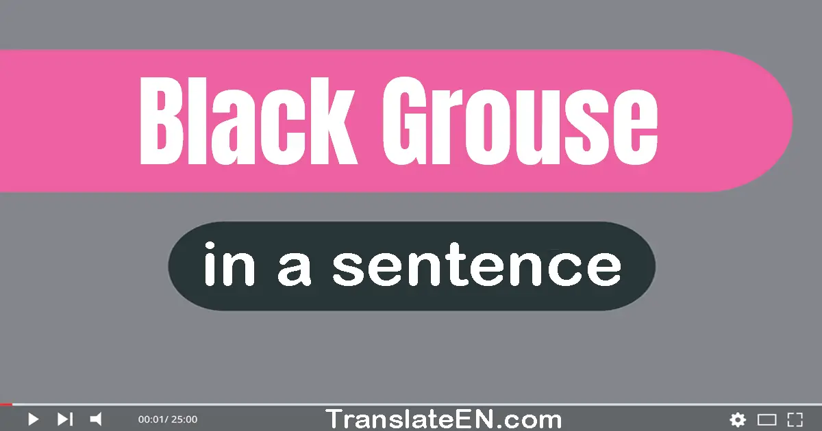 Use "black grouse" in a sentence | "black grouse" sentence examples