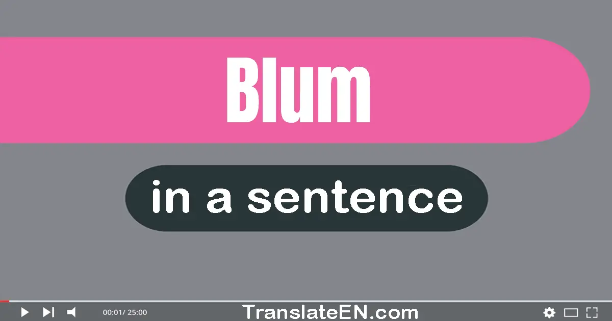 Use "Blum" in a sentence | "Blum" sentence examples