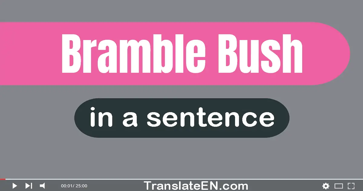 Use "bramble bush" in a sentence | "bramble bush" sentence examples
