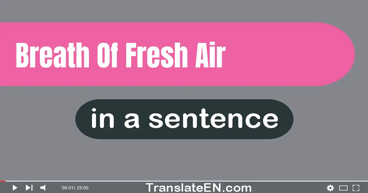 Use "breath of fresh air" in a sentence | "breath of fresh air" sentence examples