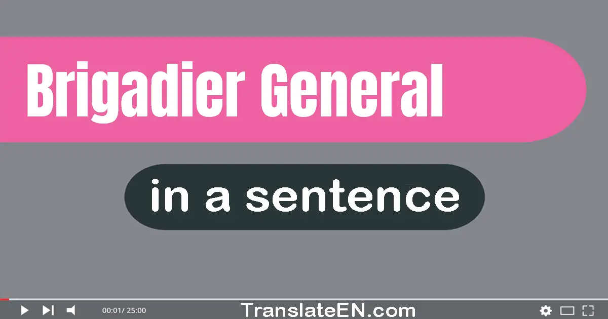 Use "brigadier general" in a sentence | "brigadier general" sentence examples