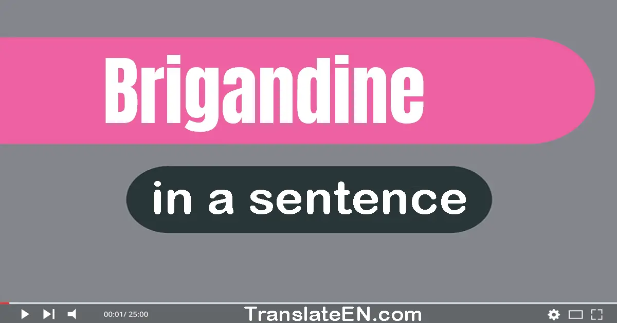 Use "brigandine" in a sentence | "brigandine" sentence examples