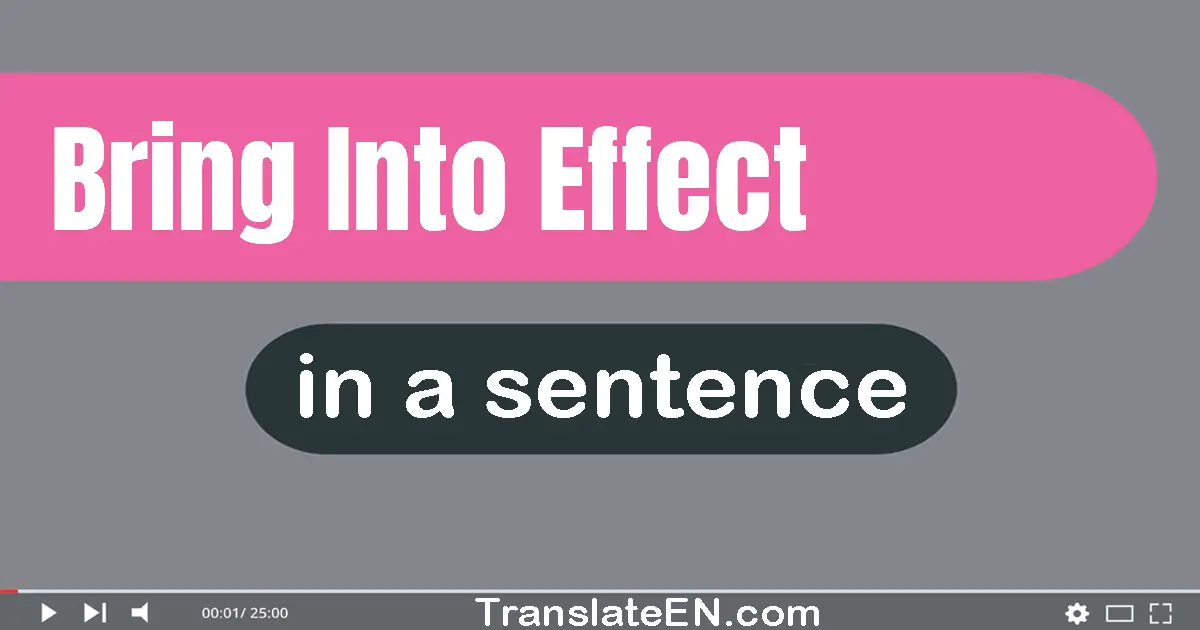 Use "bring into effect" in a sentence | "bring into effect" sentence examples