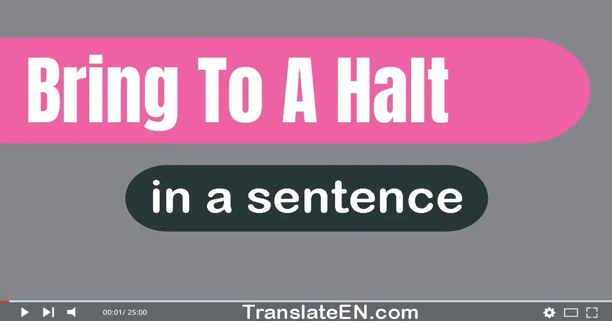 Use "bring to a halt" in a sentence | "bring to a halt" sentence examples
