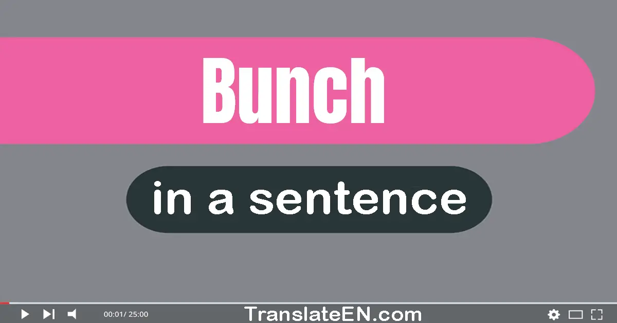 Use "bunch" in a sentence | "bunch" sentence examples