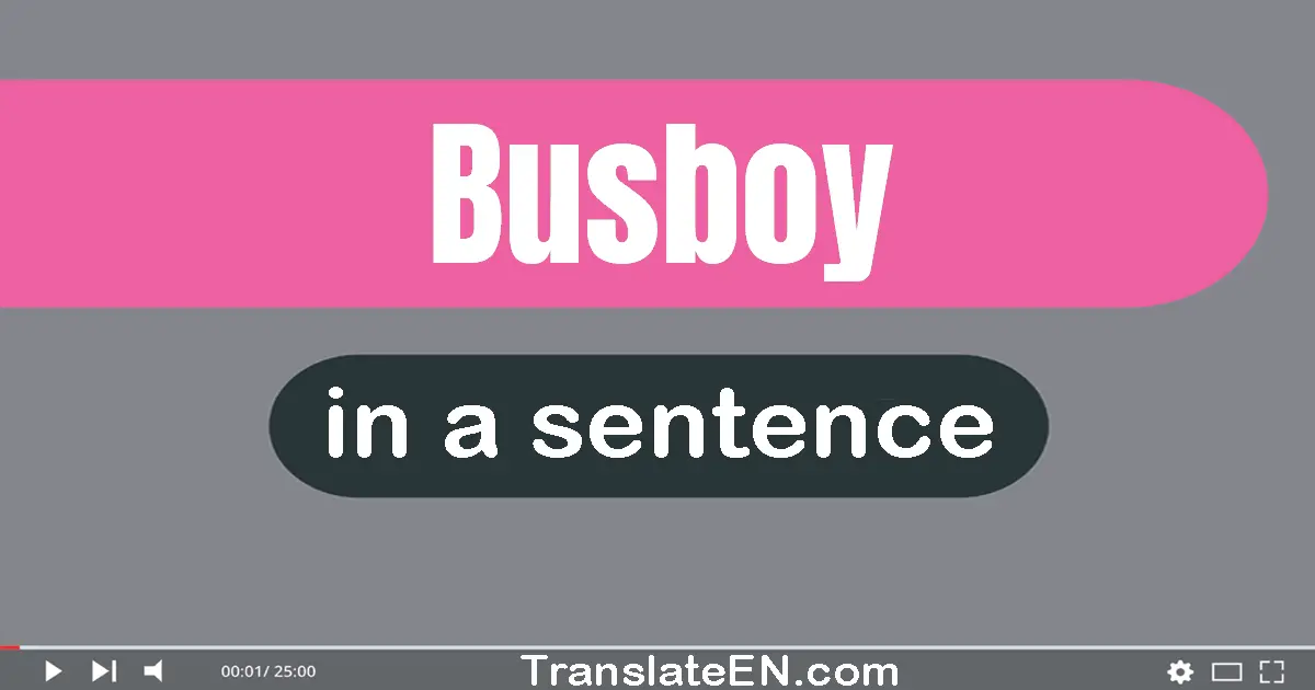 Use "busboy" in a sentence | "busboy" sentence examples
