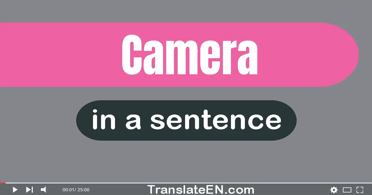Use "camera" in a sentence | "camera" sentence examples