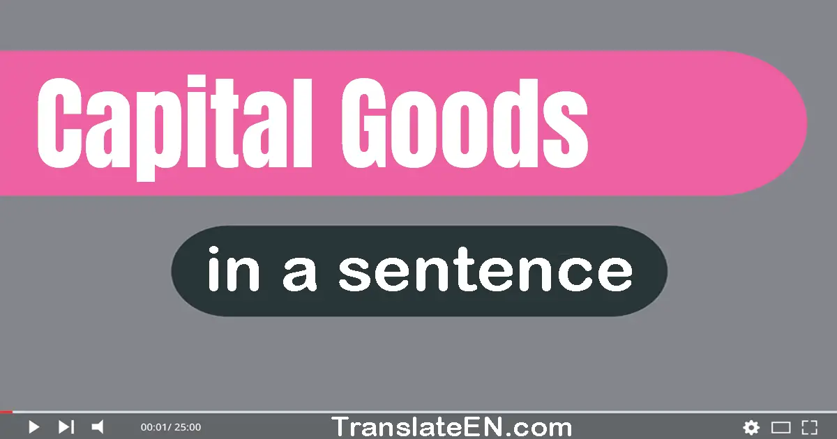 Use "capital goods" in a sentence | "capital goods" sentence examples