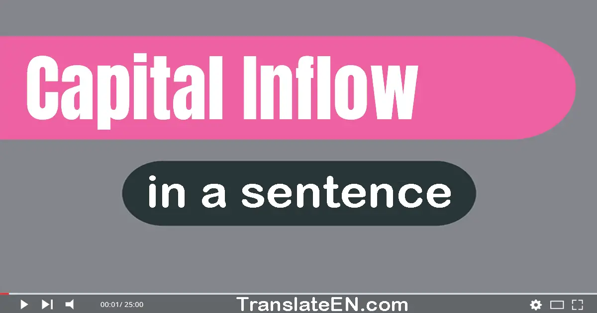 Use "capital inflow" in a sentence | "capital inflow" sentence examples