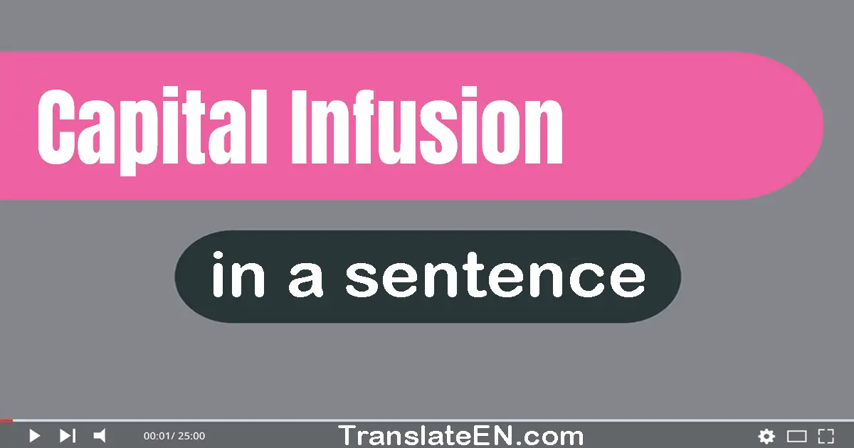Use "capital infusion" in a sentence | "capital infusion" sentence examples