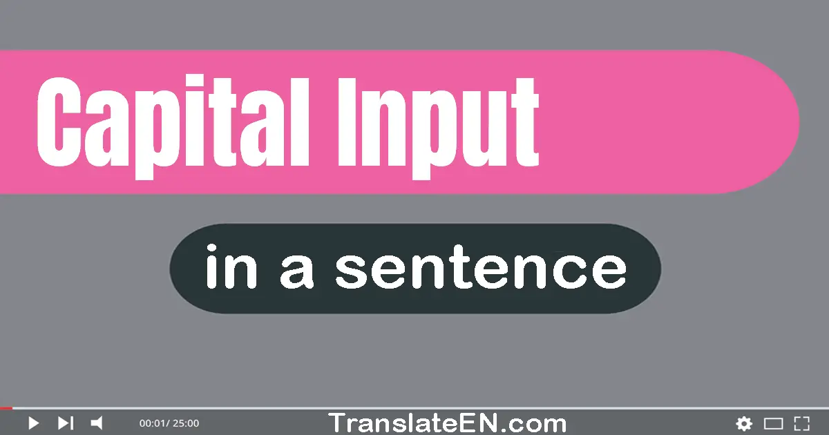 Use "capital input" in a sentence | "capital input" sentence examples