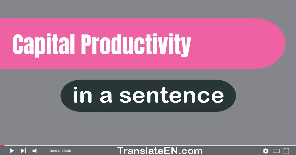 Use "capital productivity" in a sentence | "capital productivity" sentence examples