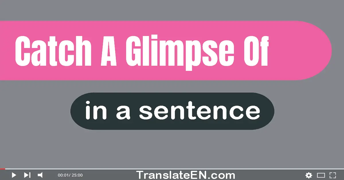 Use "catch a glimpse of" in a sentence | "catch a glimpse of" sentence examples