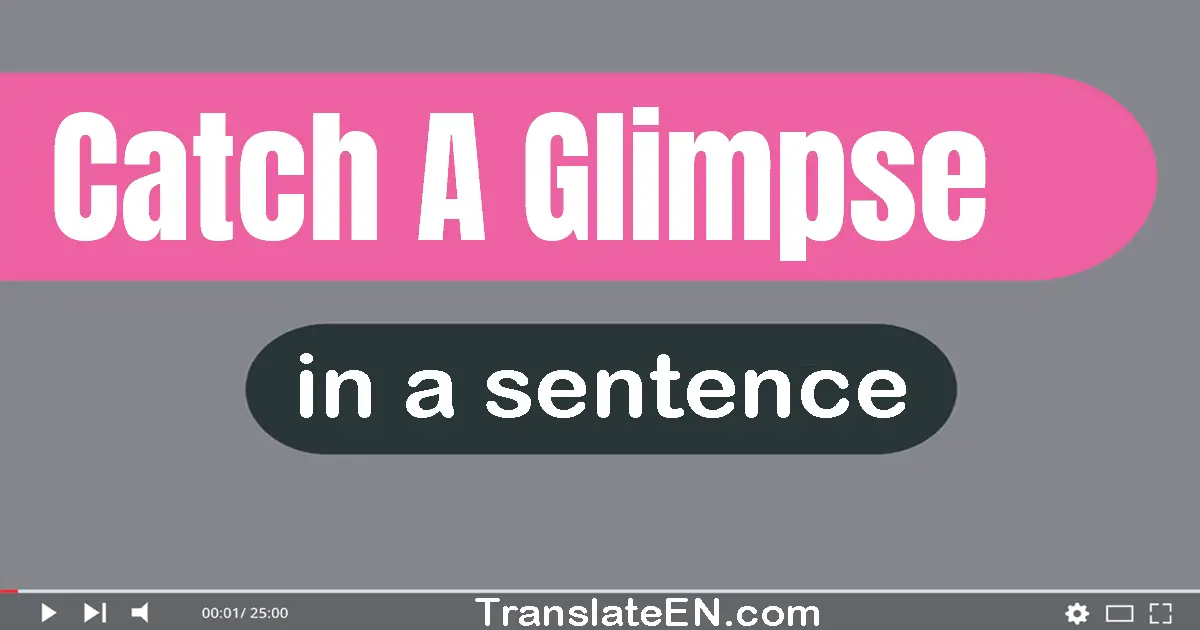 Use "catch a glimpse" in a sentence | "catch a glimpse" sentence examples