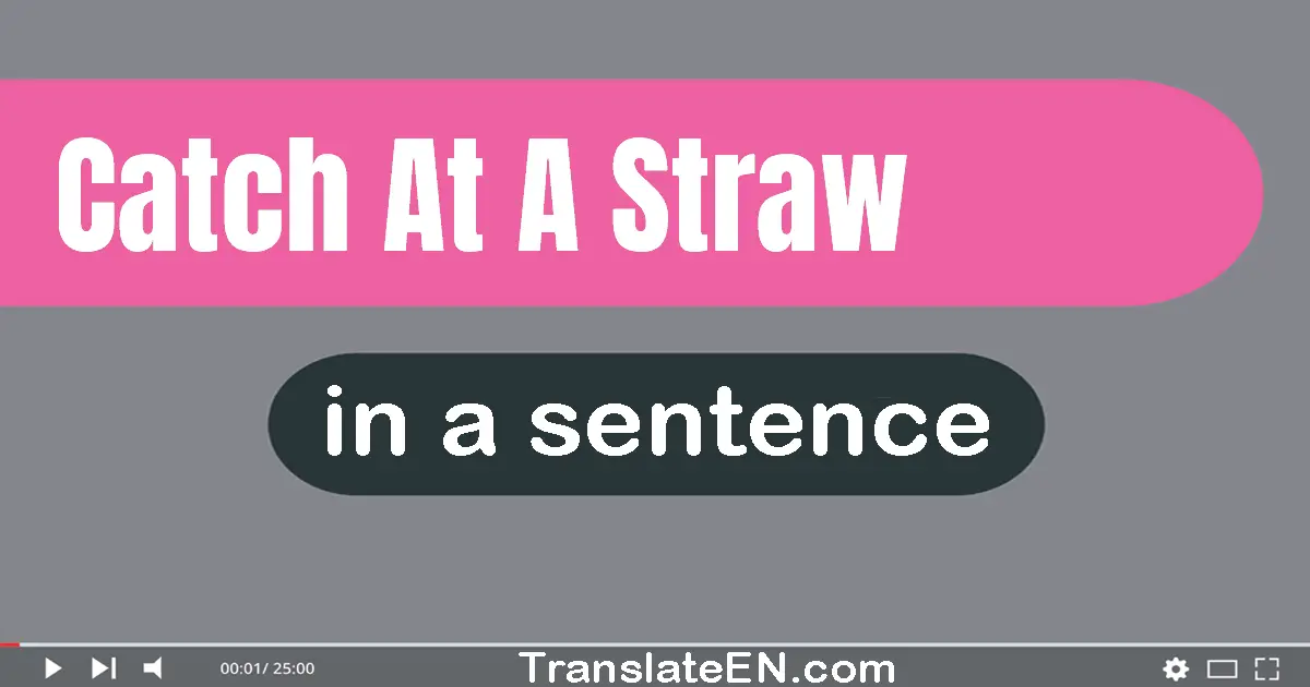 Use "catch at a straw" in a sentence | "catch at a straw" sentence examples