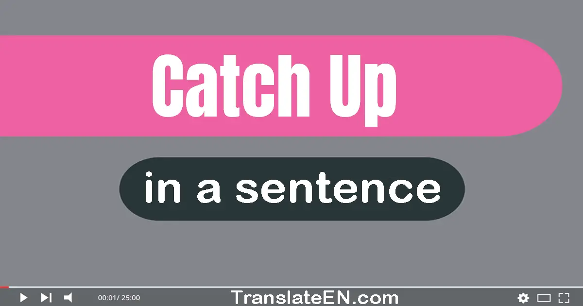 Use "catch up" in a sentence | "catch up" sentence examples