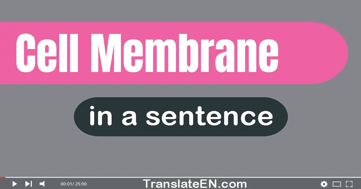 Use "cell membrane" in a sentence | "cell membrane" sentence examples