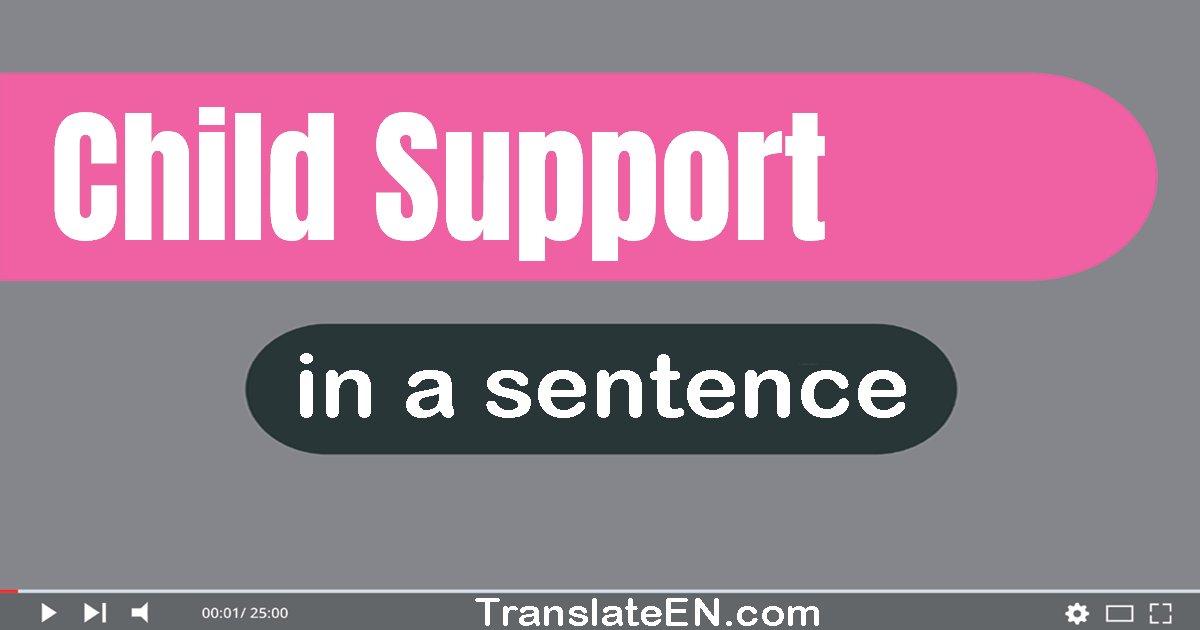 Use "child support" in a sentence | "child support" sentence examples