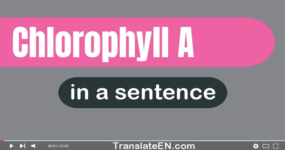 Use "chlorophyll a" in a sentence | "chlorophyll a" sentence examples