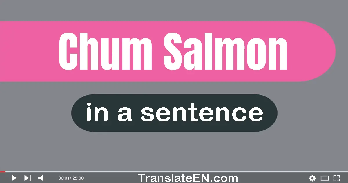 Use "chum salmon" in a sentence | "chum salmon" sentence examples