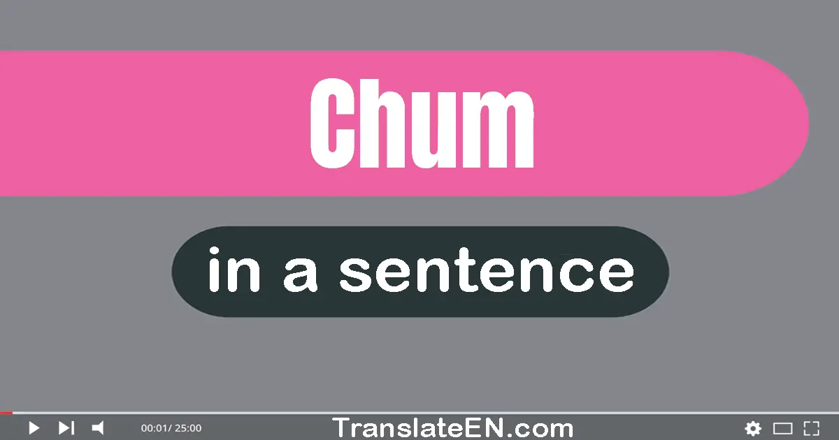 Use "chum" in a sentence | "chum" sentence examples