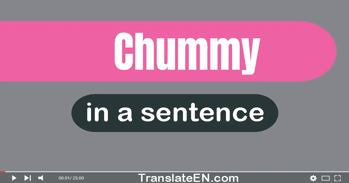 Use "chummy" in a sentence | "chummy" sentence examples