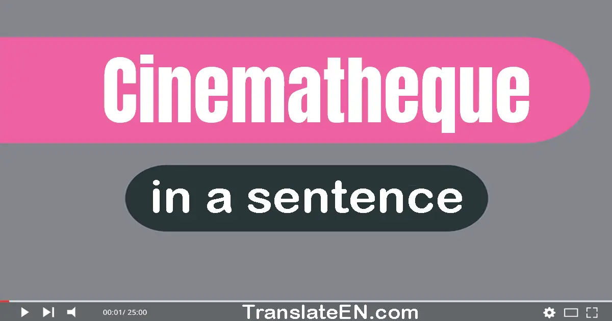 Use "cinematheque" in a sentence | "cinematheque" sentence examples