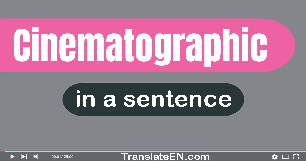 Use "cinematographic" in a sentence | "cinematographic" sentence examples