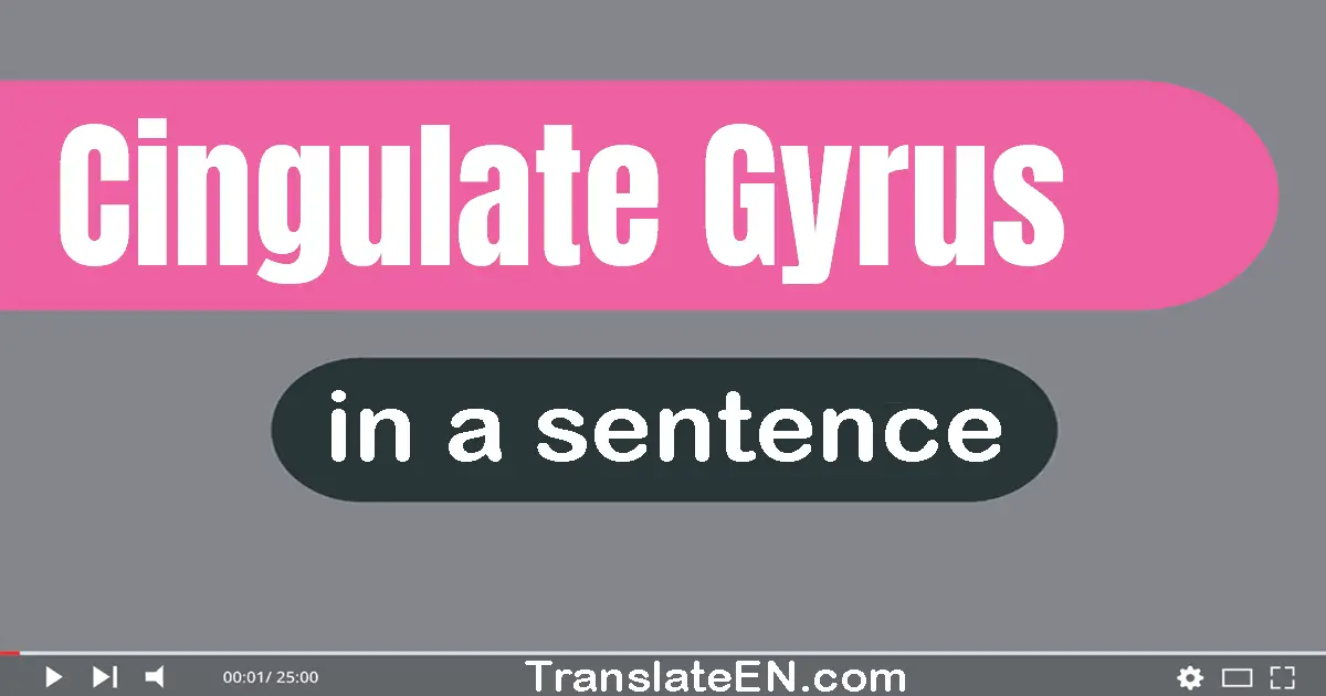 Use "cingulate gyrus" in a sentence | "cingulate gyrus" sentence examples