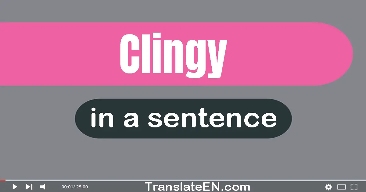 Use "clingy" in a sentence | "clingy" sentence examples