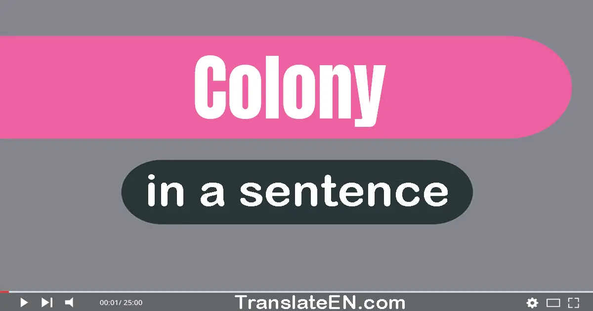 Use "colony" in a sentence | "colony" sentence examples