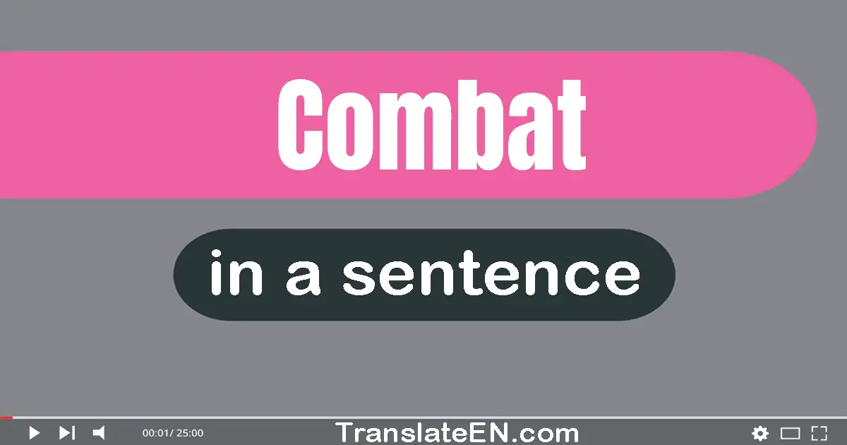 Use "combat" in a sentence | "combat" sentence examples