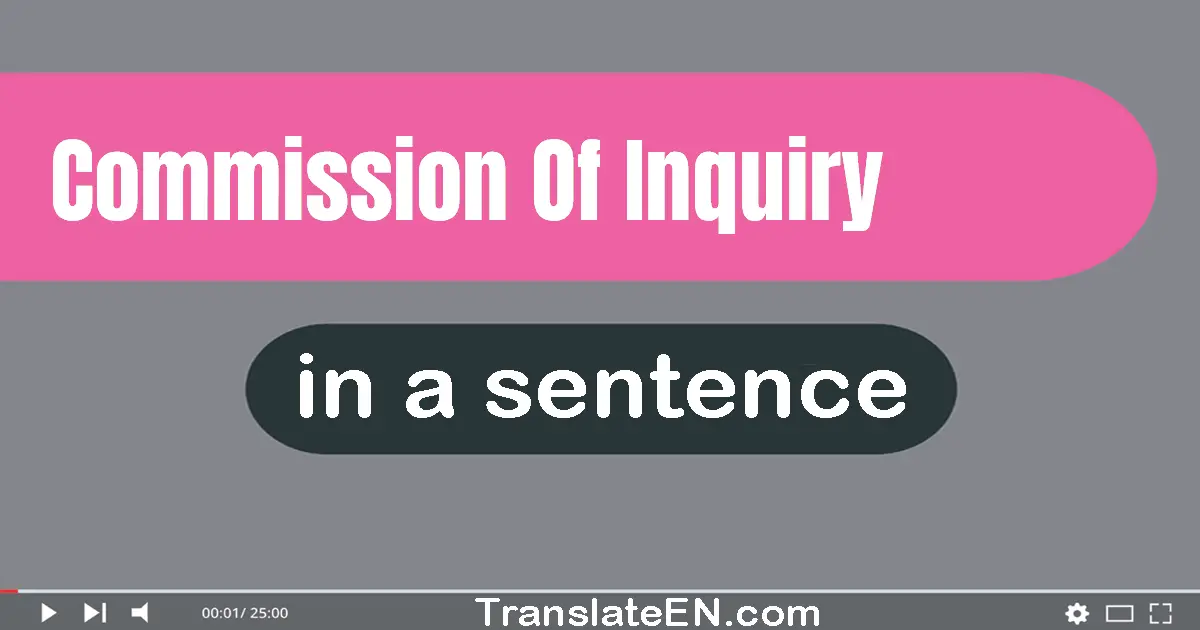 Use "commission of inquiry" in a sentence | "commission of inquiry" sentence examples