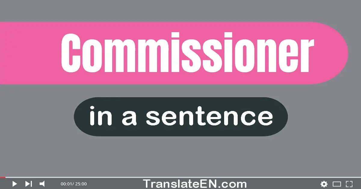 Use "commissioner" in a sentence | "commissioner" sentence examples
