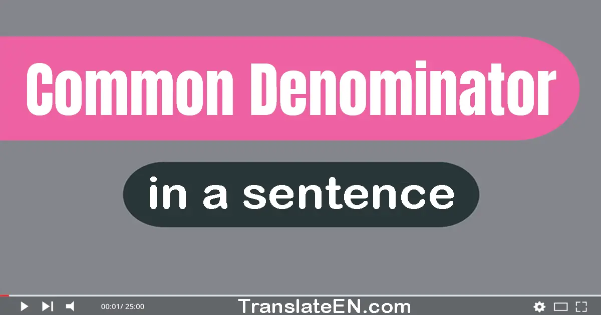 Use "common denominator" in a sentence | "common denominator" sentence examples