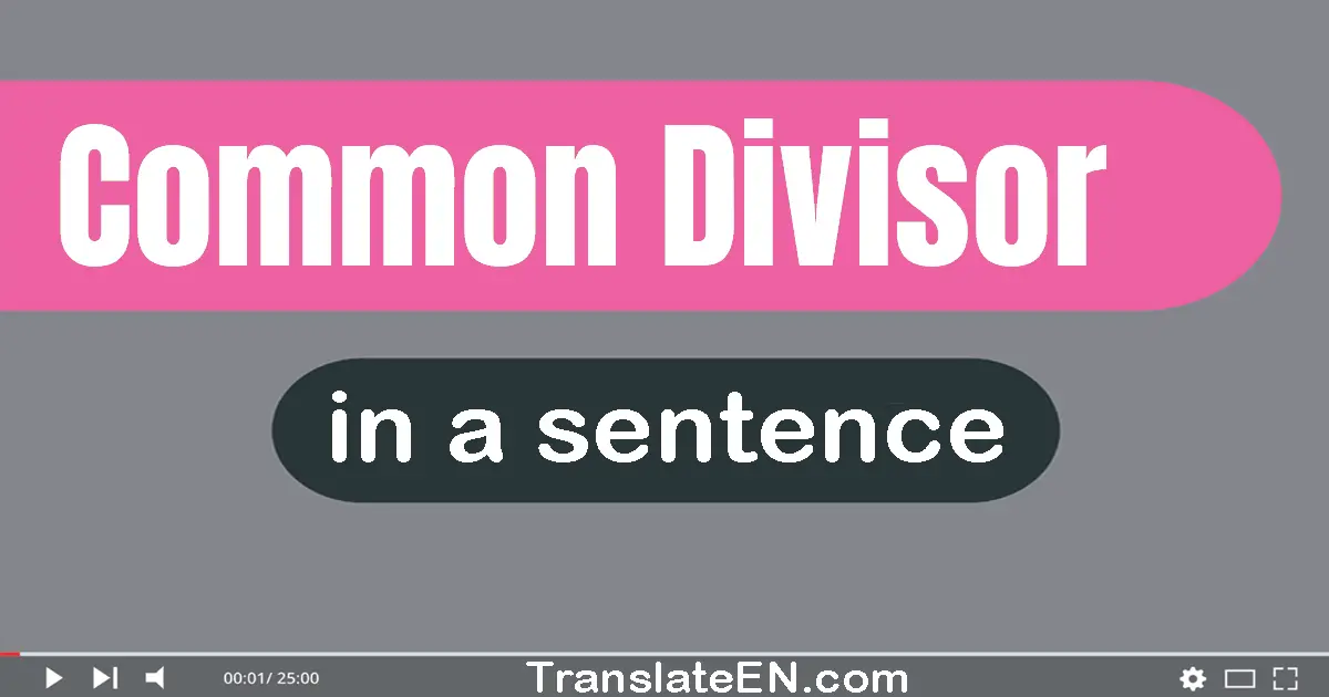 Use "common divisor" in a sentence | "common divisor" sentence examples