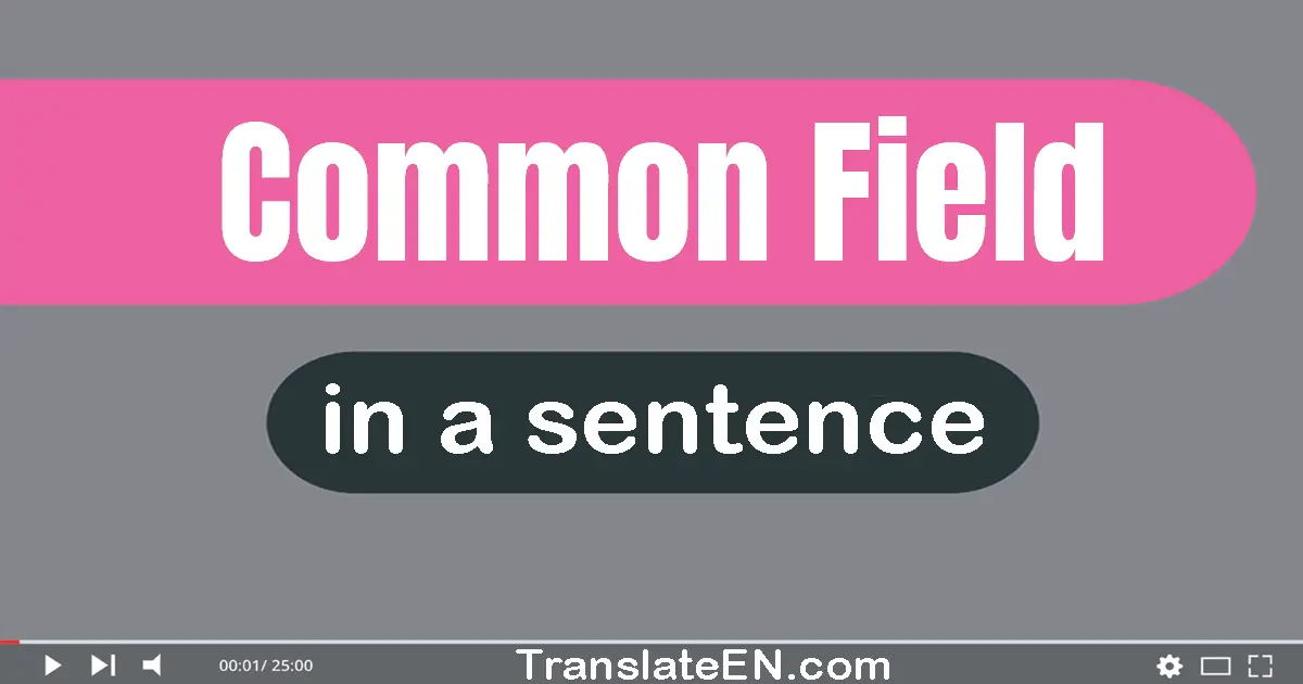 Use "common field" in a sentence | "common field" sentence examples