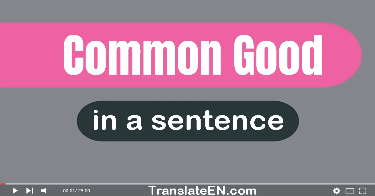 Use "common good" in a sentence | "common good" sentence examples