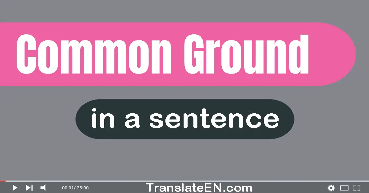 Use "common ground" in a sentence | "common ground" sentence examples